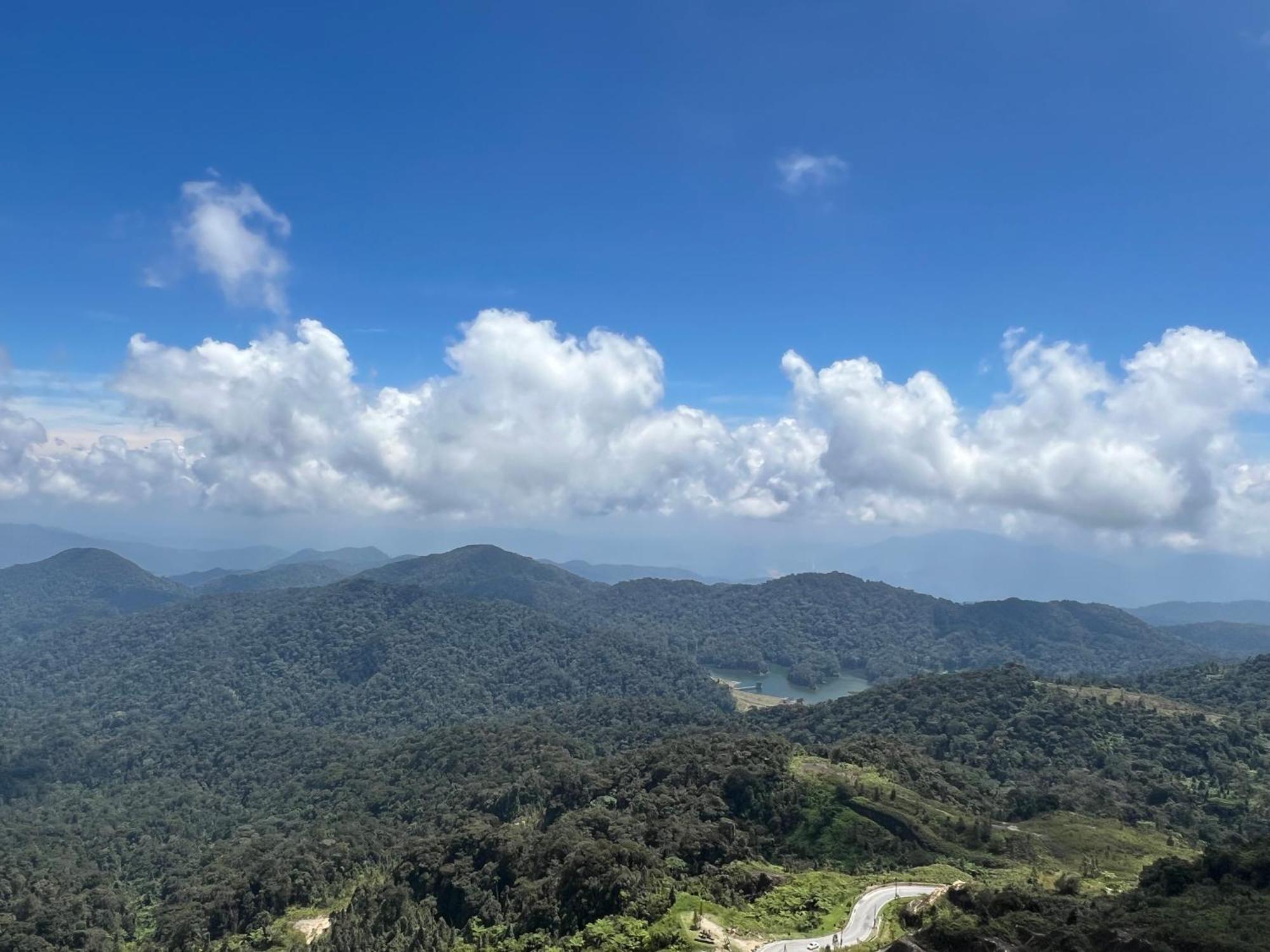 Cloud Forest Homestay Τζεντίνγκ Χάιλαντς Εξωτερικό φωτογραφία
